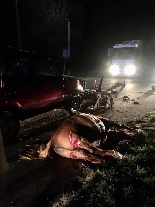 У Любомлі підвода в’їхала в позашляховик (фото 18+)