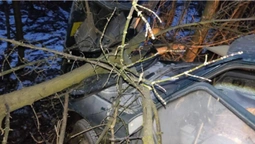 Водій був п'яним: на Волині авто злетіло в кювет і в'їхало в дерево (фото, відео)
