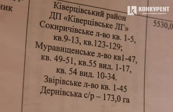 У заказнику на Волині вирубують ліс