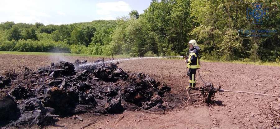 Міг зайнятися ліс: під Луцьком чоловік розпалив величезне вогнище (фото)