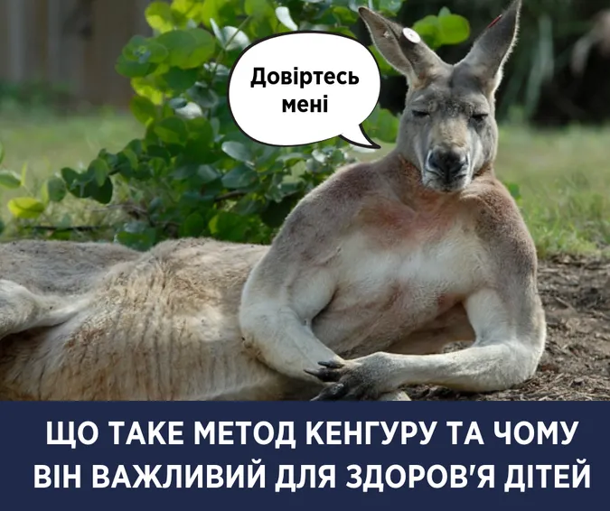 Супрун розповіла про метод Кенгуру для батьків з немовлятами