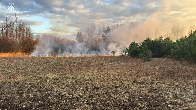 Найбільше – на Ковельщині: на Волині за добу вигоріло понад 7 гектарів (фото)