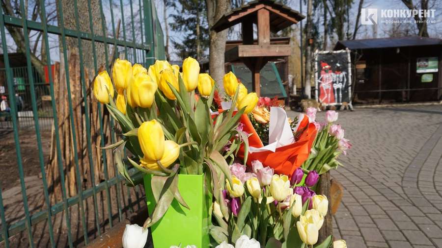 Бентежні носики та ніжні квіти: весна у Луцькому зоопарку (фото)
