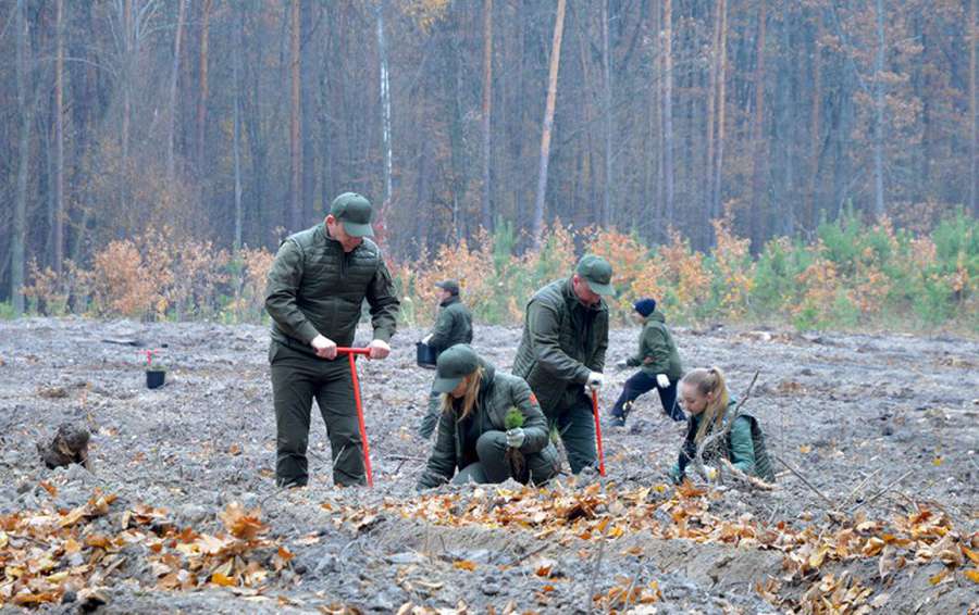 Волинські лісівники – у лідерах «мільярдної» програми з озеленення країни, – Олександр Кватирко