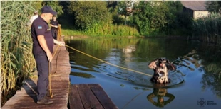 Пірнув і не виплив: в озері на Ковельщині потонув молодий чоловік (фото)