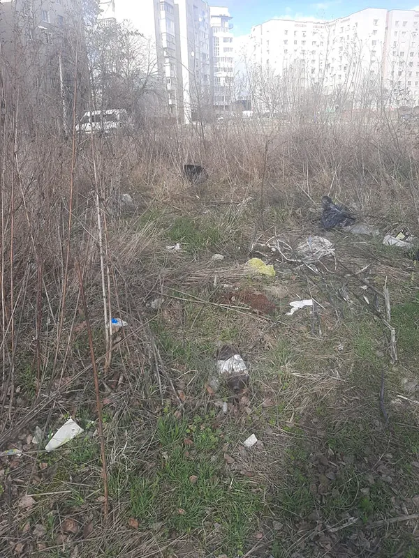 Не моє сміття, але моя планета: луцька школярка започаткувала корисний челендж (фото)