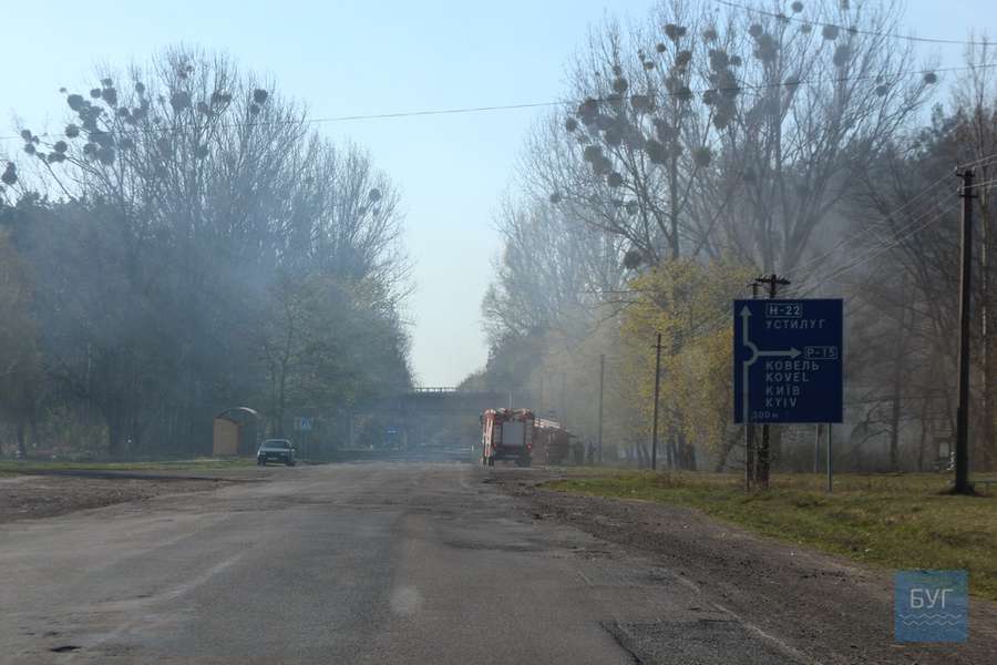 Біля Володимира загорівся ліс: ймовірно, через підпали сухої трави (відео)