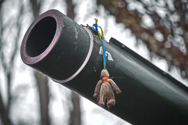 Лялька на стволі оберігає бійців у волинській бригаді