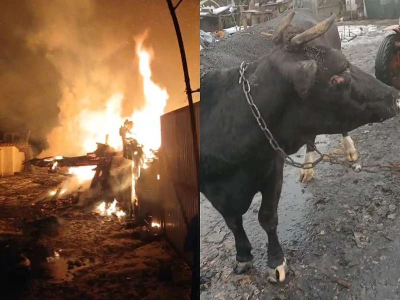 Згорів хлів та загинула худоба: в Луцькому районі родина волонтера оговтується після пожежі (відео)