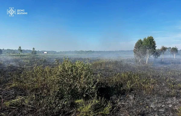 На Волині у двох районах горів торф (фото)