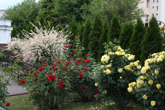 Казковий розарій розквітнув у луцькому соборі (фото)