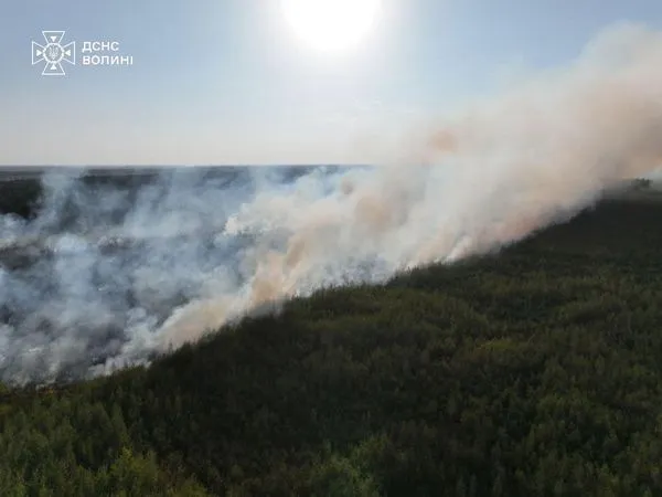 Охопила 10 га: на Камінь-Каширщині спалахнула лісова пожежа (фото)