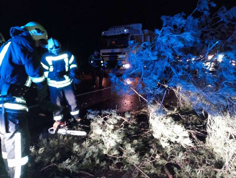 На Волині на дорогу пориви вітру повалили дерево – викликали рятувальників (фото)