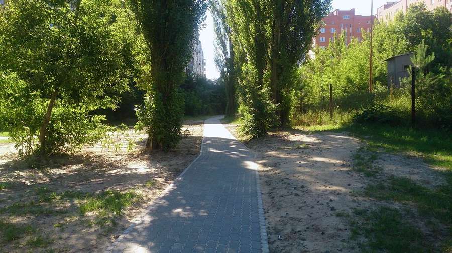 Вулиці Луцька облаштували пішохідними доріжками (фото)