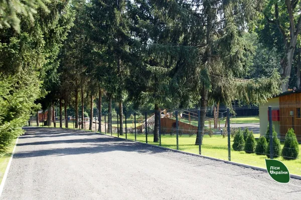 Лісництво на Волині стало кращим в Україні (фото)