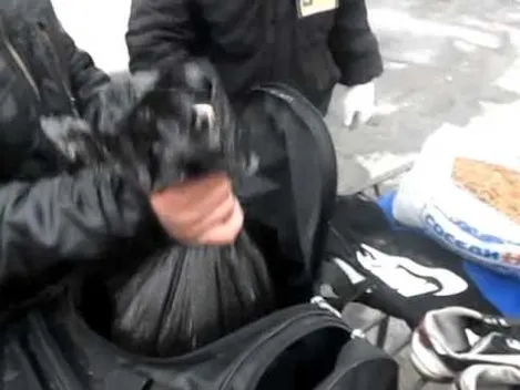 На Волинь везуть бурштин з Білорусі? ВІДЕО