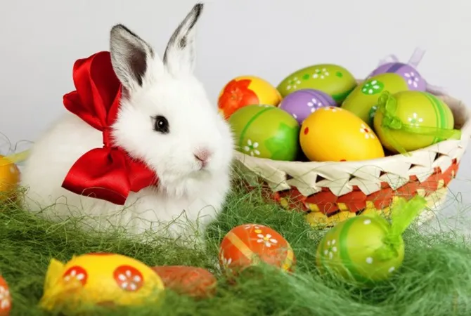 Що спільного у Великодня і Playboy?