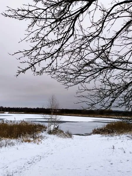 Яким стало популярне серед відпочивальників озеро біля Луцька (фото)