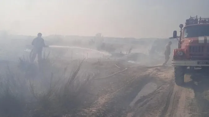 На Волині сталось одразу кілька пожеж в екосистемі