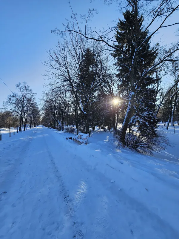 Кликуни несуть світло: показали мальовничі ранкові пейзажі Луцька (фото)