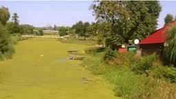 Річка Турія у Ковелі перетворюється на болото  (фото)