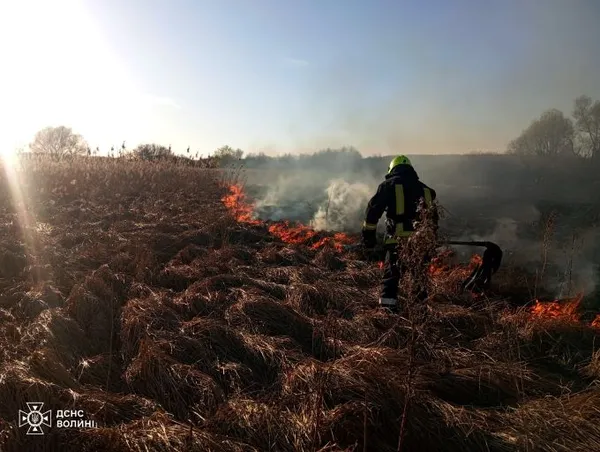 Вогонь підходив до будинків і доріг: на Волині за два дні вигоріло понад 30 га трави і чагарників (фото)