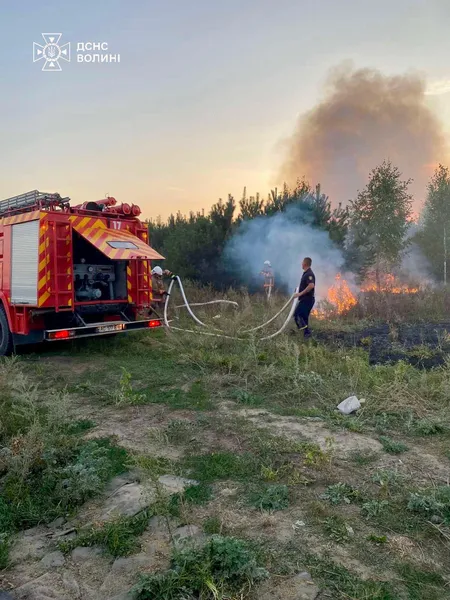 Поблизу Ковеля через місцевого жителя горів сад (фото)