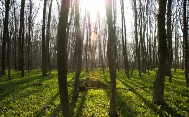 На Волині у фермера забрали землю вартістю 20 мільйонів