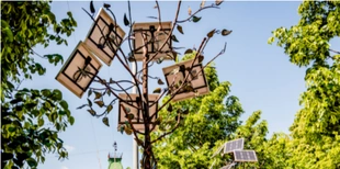 Давно не заряджають: хто має ремонтувати «сонячні дерева» в центрі Луцька