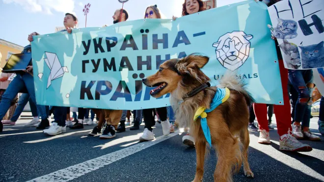Луцьк маршируватиме за захист тварин