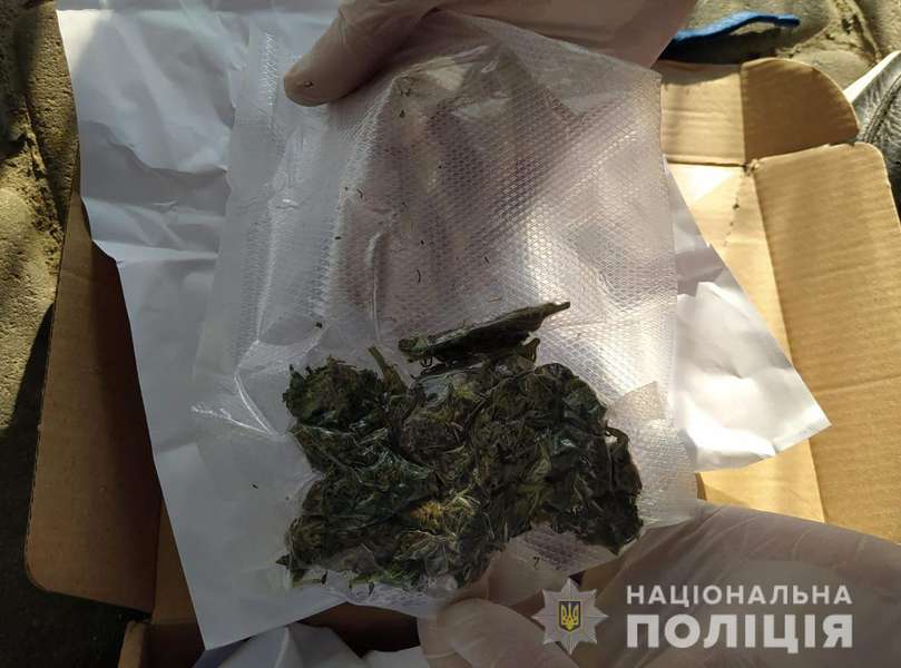 У Луцьку затримали двох підлітків з наркотиками (фото, відео)