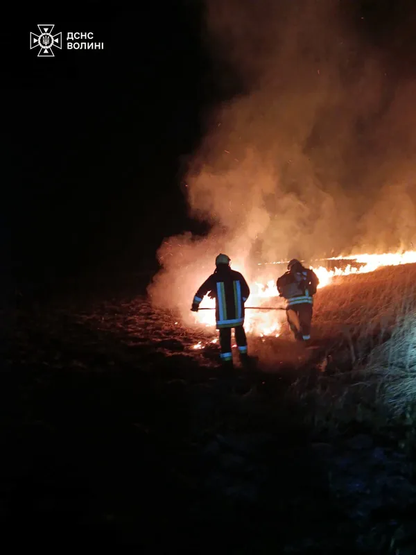 Понад 5 гектарів у вогні: на Волині ліквідували серію пожеж (фото)