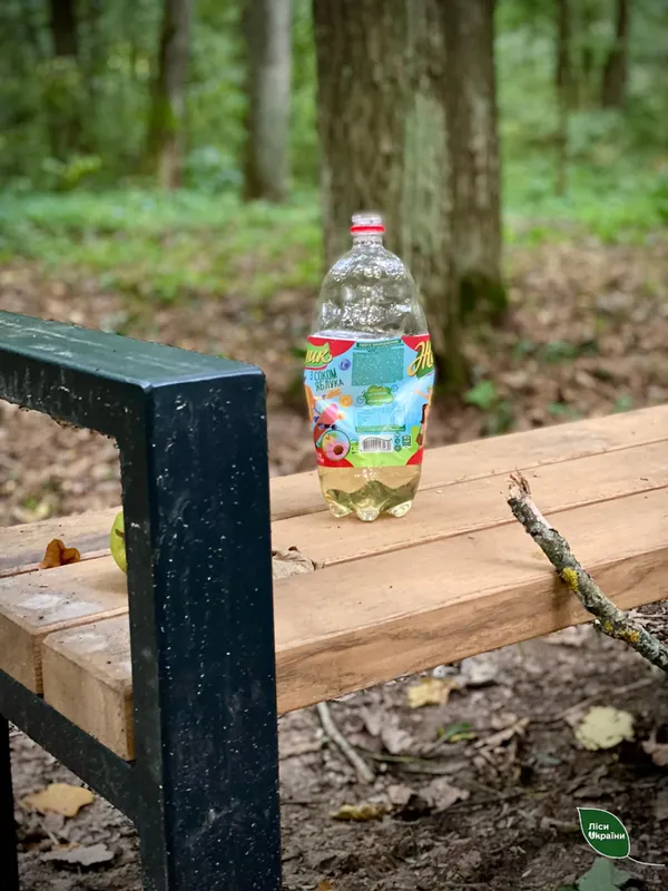 На прогулянку в ліс біля Луцька мама з донькою одягають яскраві рукавиці: навіщо (фото)