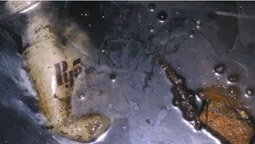 Сморід у Луцьку: в підвалі багатоповерхівки збираються каналізаційні води (відео)