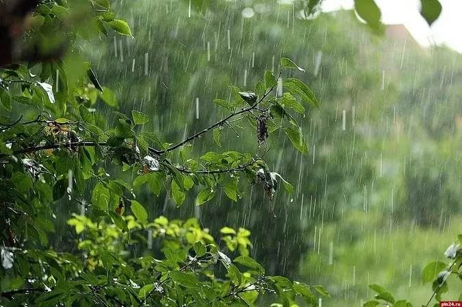 Хмарно і з дощем: погода у Луцьку на п'ятницю, 26 липня