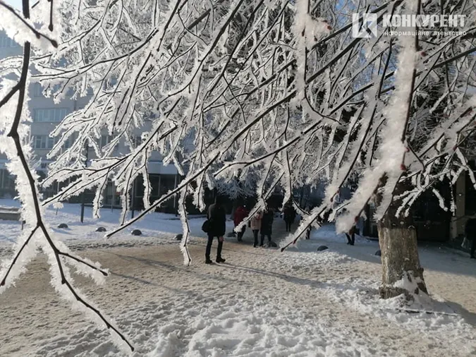 Казково: світлини Луцька, засипаного снігом