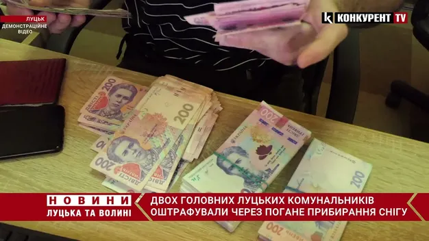 «Не маю зауважень до підлеглих»: луцький комунальник прокоментував штраф у 25 тисяч