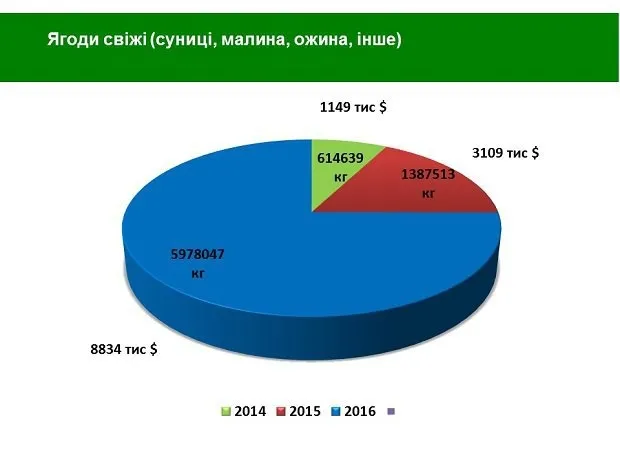 Ягідний бізнес: українські перспективи (інфографіка)