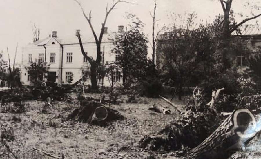 Зірвані дахи, повалені дерева: наслідки нищівного буревію у Луцьку (ретрофото)