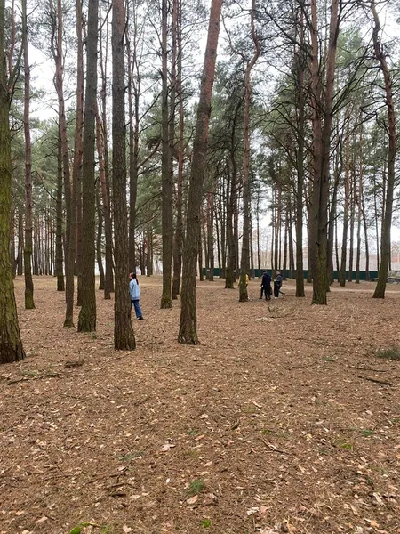 Нацпарк на Волині потерпав від бруду (фото)