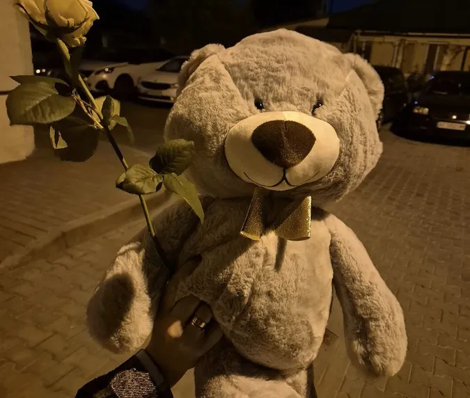 Щемлива несподіванка: у Луцьку військовий дарував перехожим квіти
