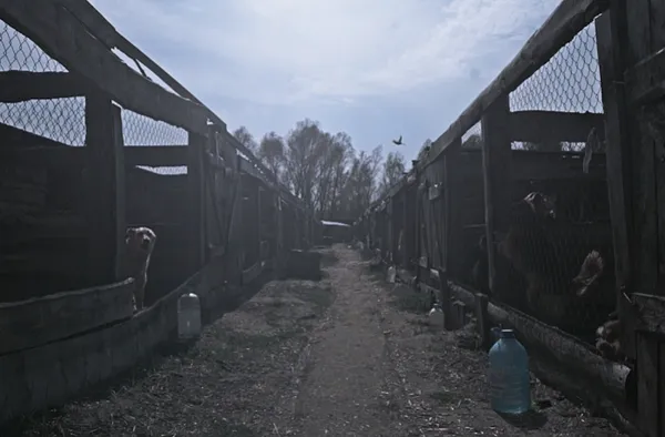 У Луцьку стартує Docudays UA: програма 