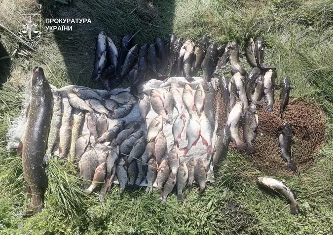 Пенсіонер ловив рибу сітками на озері в нацпарку: як його покарали