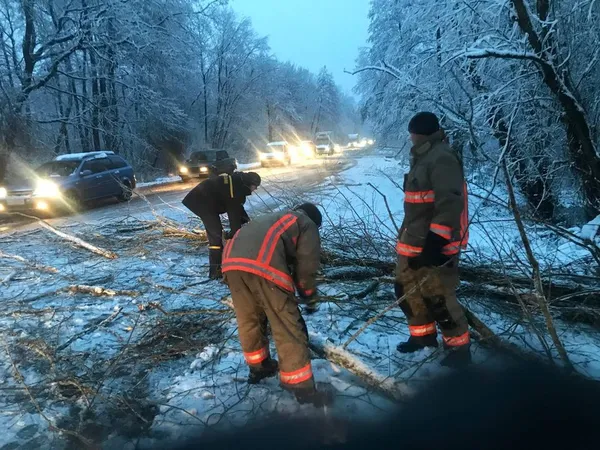На Ковельщині негода повалила на дорогу дерева (фото)