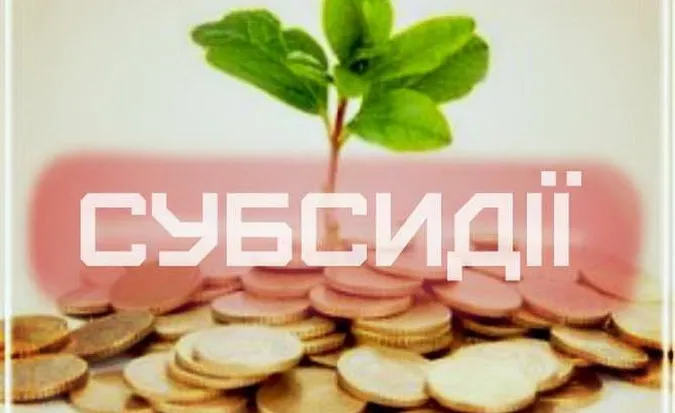 Зростання мінімальної зарплати може вплинути на субсидії