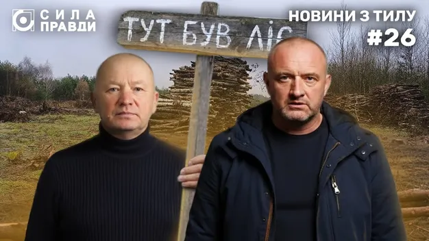 Встигли вирубати дерева: на Волині 50 га лісу роздали у приватні руки, а потім повернули державі (фото)