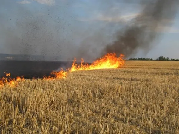 Від волинянки, яка спалила чужу пшеницю, вимагають 2 мільйони