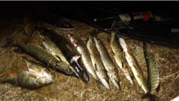 На волинському озері зловили рибалок з гарпунними рушницями (фото)