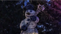 «Страшного» луцького сніговика сховали у парку (фото)