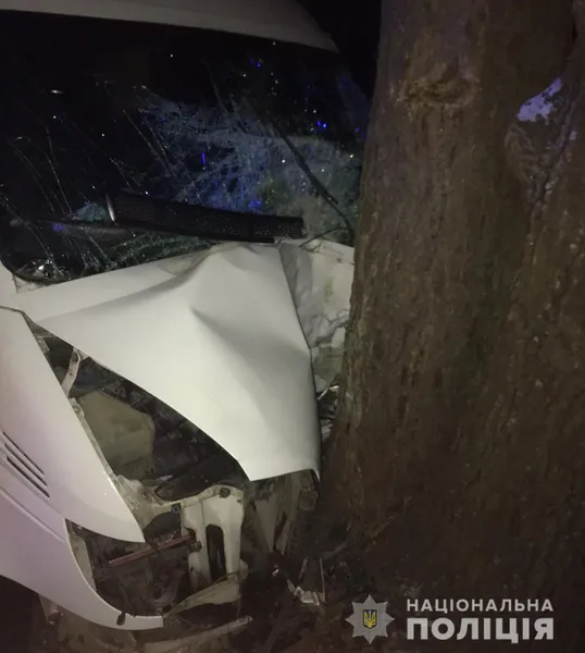 П'ятеро постраждалих: на Ковельщині бус протаранив дерево (фото, відео)